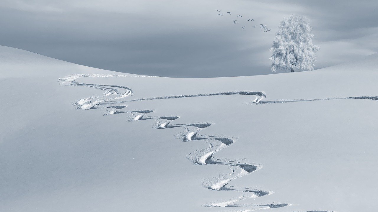 Montagna in inverno con i bambini