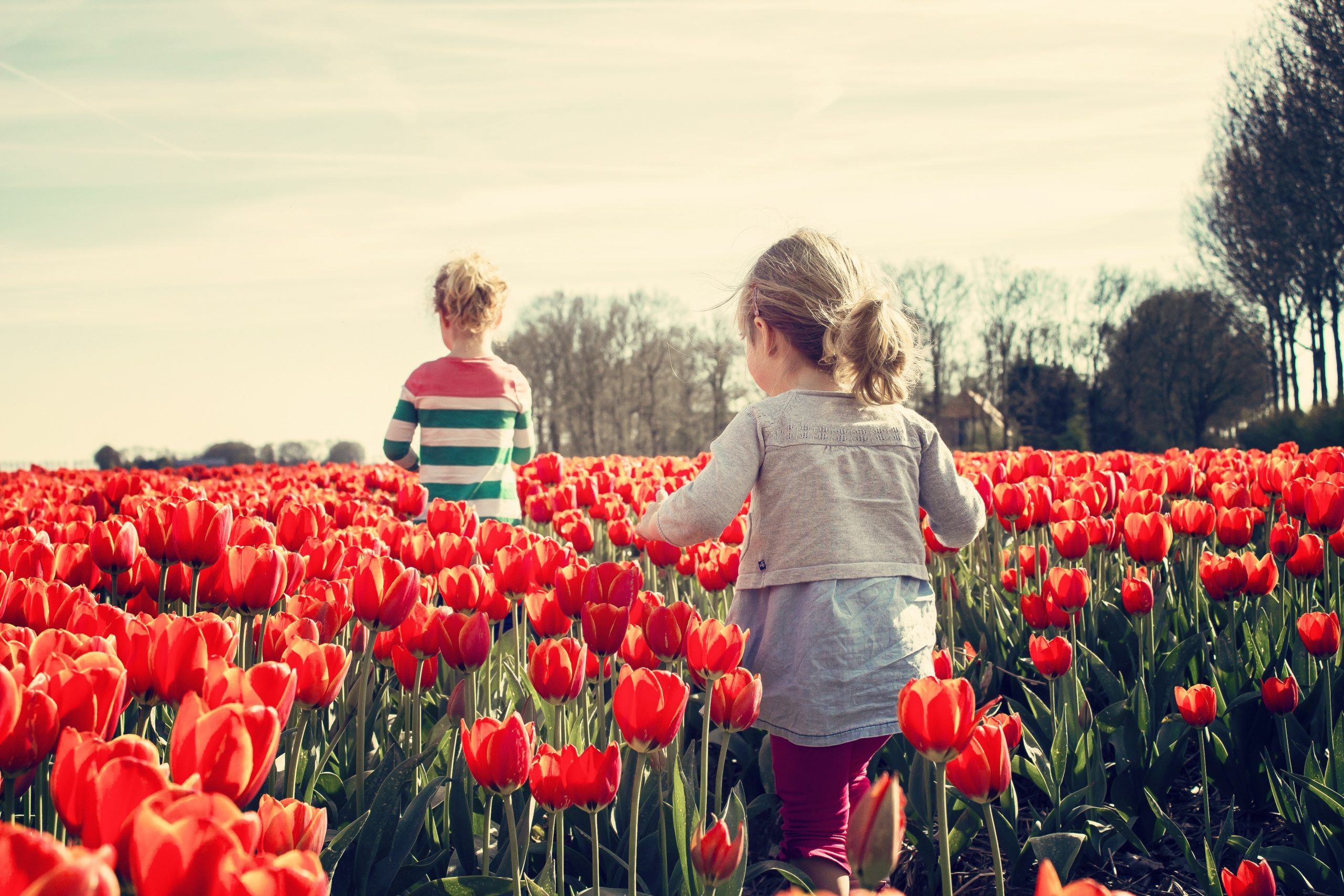 primavera bambini