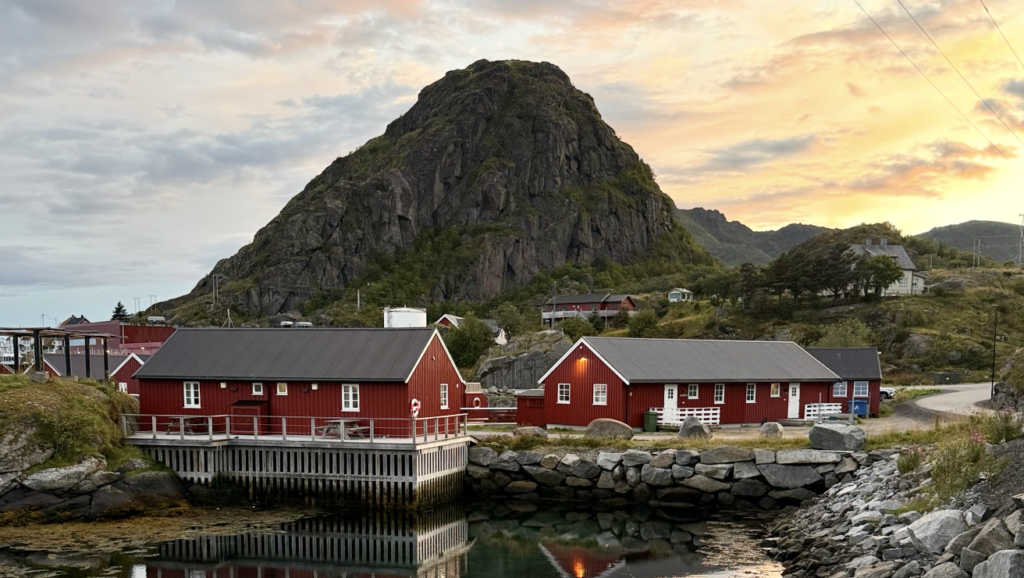 La Norvegia ci ha affascinati fin dal primo momento, con i suoi cieli immensi, l'acqua sempre vicina, le montagne e una natura capace di imporsi anche in città
