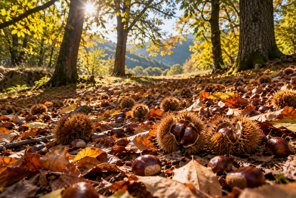 Dove raccogliere le castagne con i bambini vicino a Milano: 7 passeggiate facili per l’autunno