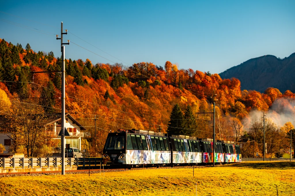 Dai boschi della Val Vigezzo ai larici dorati del Bernina, quattro viaggi in treno da fare in famiglia per vedere l'autunno dal finestrino